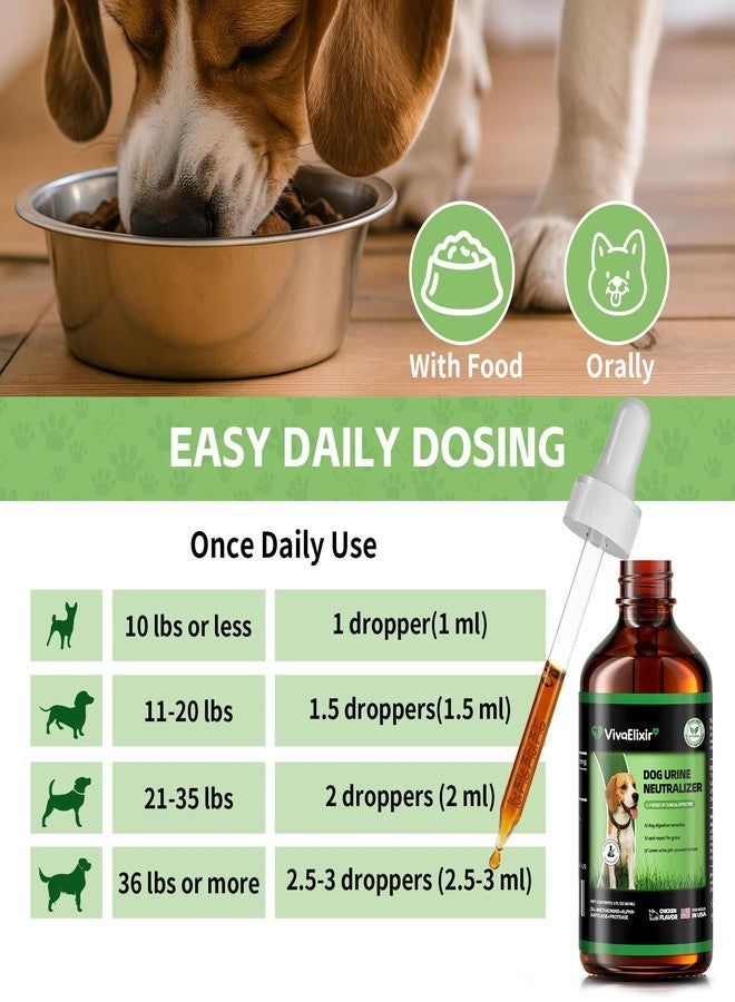 VivaElixir Dog Urine Neutralizer for Lawn -Methionine, Probiotics & Enzymes- - Helps Reduce Lawn Burn from Dog Urine, Supports Digestive and Urinary Health -Veterinarian Recommended- 60ml - Image 4