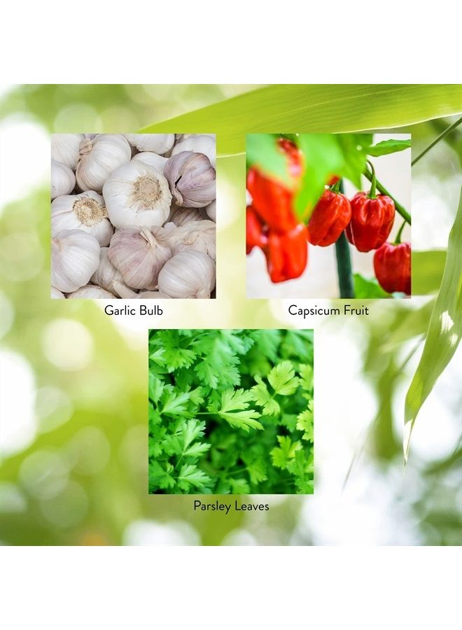 Nature's Sunshine Capsicum & Garlic w/Parsley, 100 Capsules | Helps Support Digestion, Immunity, Circulation, and Glandular Health - Image 1