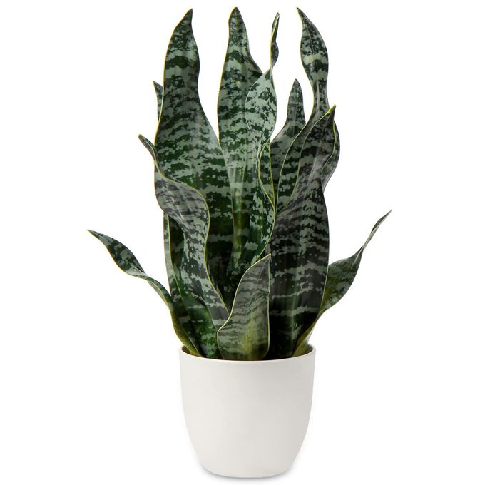 ARTIFICIAL SNAKE PLANT POTTED FAUX SANSEVIERIA TRIFASCIATA PLANTS 165 TROPICAL FAKE PLANTS IN WHITE POTS FOR HOME OFFICE DESK OUTDOOR DCOR HOUSEWARMING GIFT