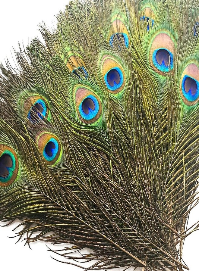 Piokio 10 pcs Peacock Feathers in Bulk 10-12 inch(25-30 cm) Bulk for DIY, Craft Vase Wedding Home Party Christmas Day Decoration - Image 1