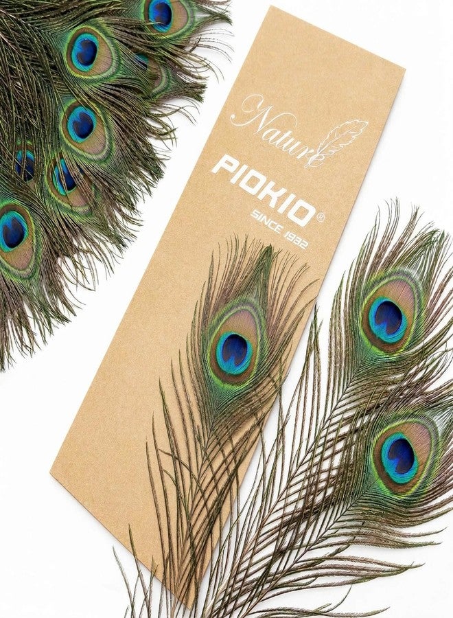 Piokio 10 pcs Peacock Feathers in Bulk 10-12 inch(25-30 cm) Bulk for DIY, Craft Vase Wedding Home Party Christmas Day Decoration - Image 2