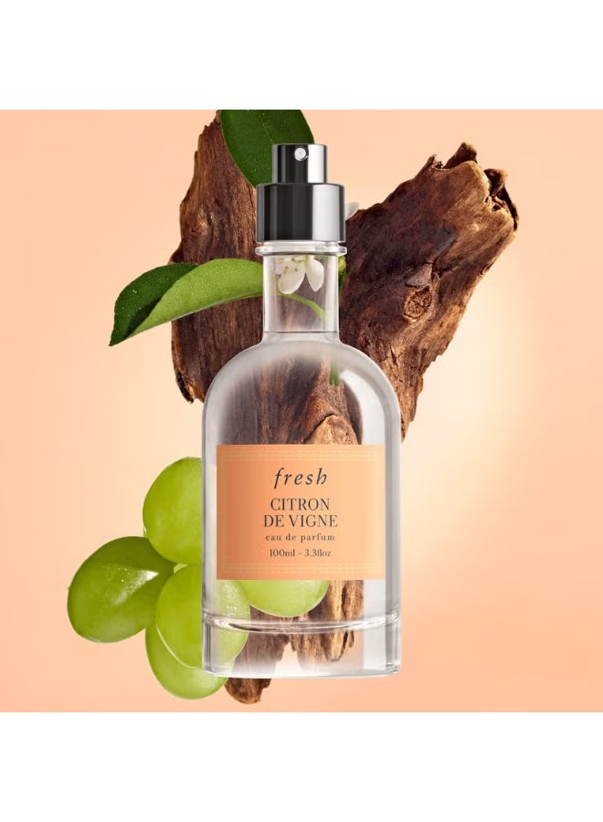 Fresh Citron de Vigne Eau de Parfum 100ml - Image 3