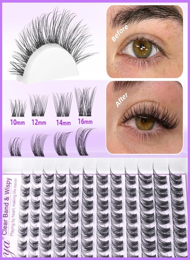 Geeneiya Clear Band Natural Lash Clusters Kit Wispy Eyelash Clusters 10-16mm Lash Extension Kit CC Curl Invisible Band Eyelashes Extensions with Bond and Seal Lash Glue and Tweezers DIY at Home by Geeneiya - Image 3