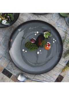 Riva Melamine Dinner Plate Made Of Melamine Unbreakable And Lightweight - pzsku/Z0EC3474F6772A94DBF0EZ/45/_/1718011076/94574506-f263-4264-9aed-b90a3a72210a