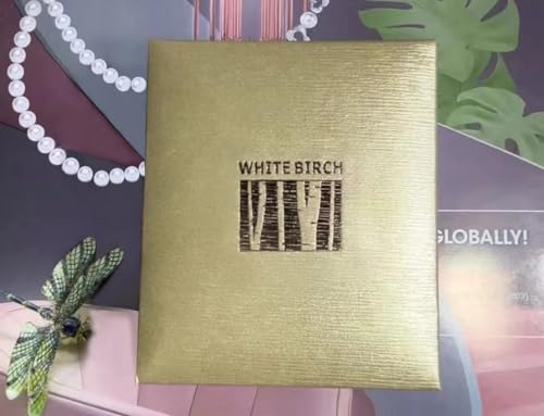White Birch Fit Pandora Charm Bracelet with Charm Set 6.7 inches DIY Jewelry Gifts - Image 3
