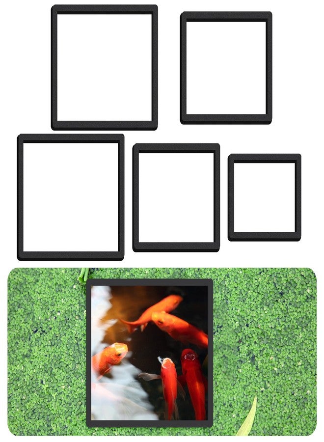 LLOUSSAK 5Pcs Fish Feeding Ring, 5 Sizes Aquarium Feeding Ring for Fish Tank, Square EVA Floating Plant Corral/Aquarium Fishes Feeder Rings Filter Out Floating Plants Accessories (Black) - Image 1