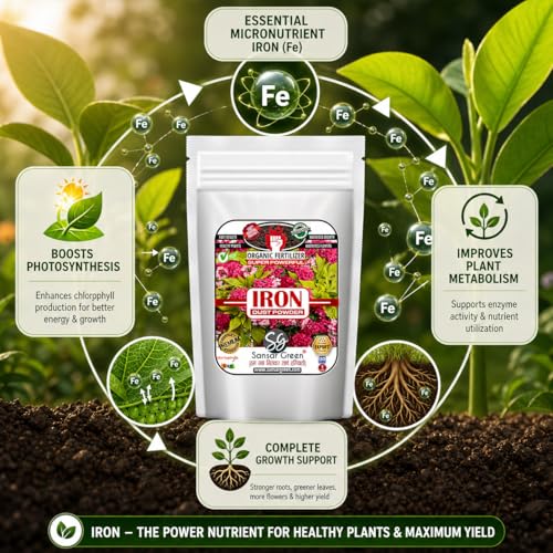 Sansar Green® Iron, Dust Powder, Essential Super Powerful Organic Magnetic active Iron Powder Fertilizer for Best Growth of Plants (200 gm) - Image 2