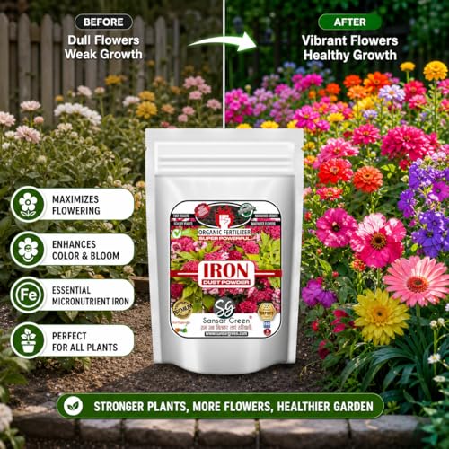 Sansar Green® Iron, Dust Powder, Essential Super Powerful Organic Magnetic active Iron Powder Fertilizer for Best Growth of Plants (200 gm) - Image 4
