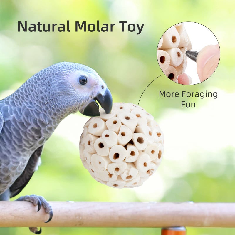 andwe Bird Toy Sola Ball - Natural Soft Chew Shredding & Foraging Toy for Cockatiel Conure Quaker Parrot Budgie Parakeet Rabbit Bunny Guinea Pig Chinchilla (Style 1 (Pack of 6)) - Image 5