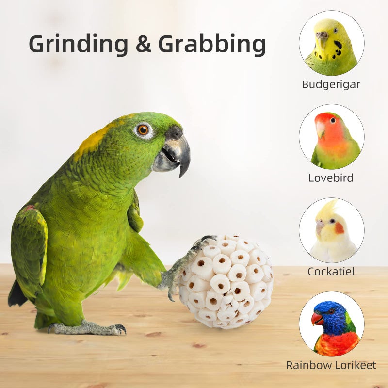 andwe Bird Toy Sola Ball - Natural Soft Chew Shredding & Foraging Toy for Cockatiel Conure Quaker Parrot Budgie Parakeet Rabbit Bunny Guinea Pig Chinchilla (Style 1 (Pack of 6)) - Image 2