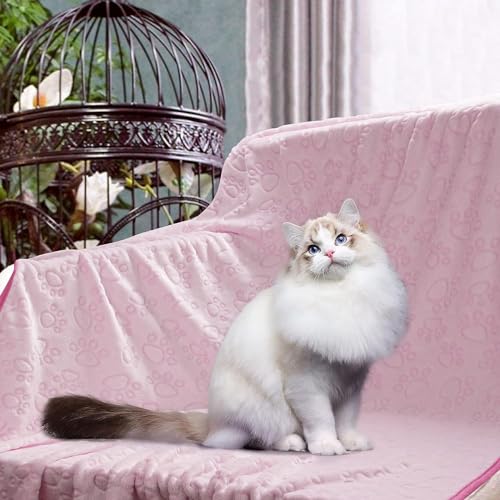 KolorFish Premium Soft Dog Blanket with Cute Paw Print, Cat Blanket Puppy Pads Supplies Dog Products Stuff Essentials (XS - 40 x 60 cm) Pink - Image 2