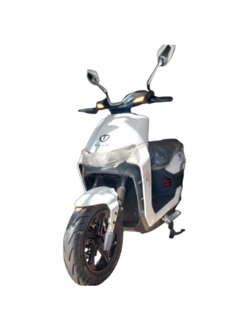 Electric Scooter  TAILG-Zebra