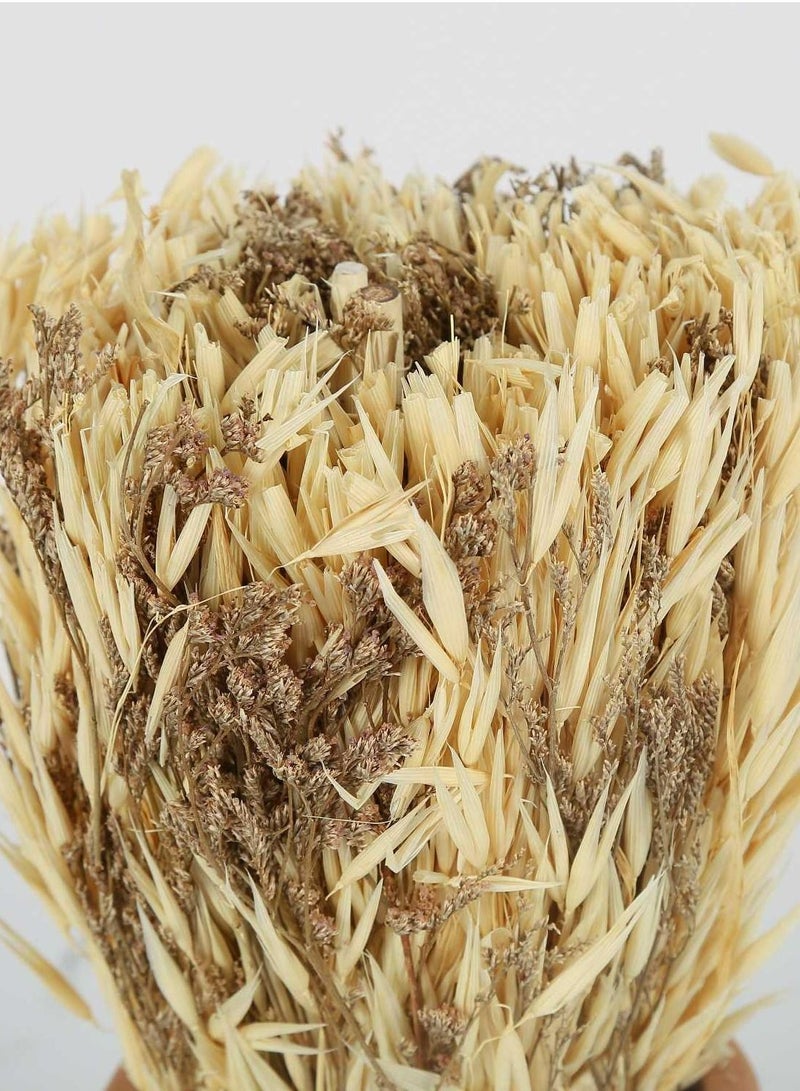 Blends Pot - Avana Grass & Lemonium - Image 2