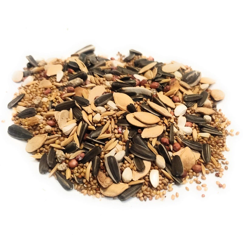 Robust Birdie's Delight | Nutritious Bird Food | for Cockateil & Lovebirds | Medium Birds | 800g Pack - Image 3