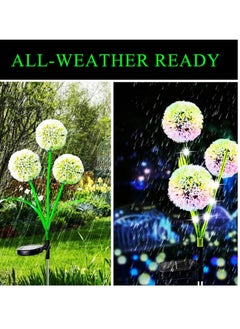 Y&D Solar Lights Outdoor Garden Decor 2 Pack Upgraded Dandelion Design with 36 Colorful LEDs Illuminate Your Path Waterproof  - Image 3