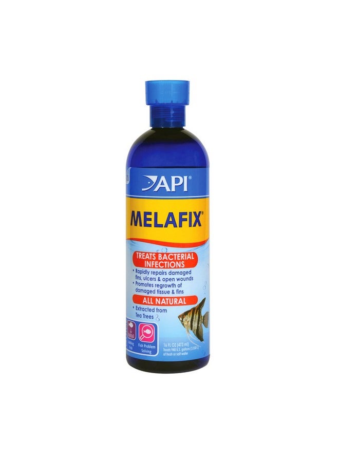 ايه بي آي API MELAFIX لعلاج عدوى البكتيريا في أسماك المياه العذبة - زجاجة سعة 16 أونصة  - Image 1