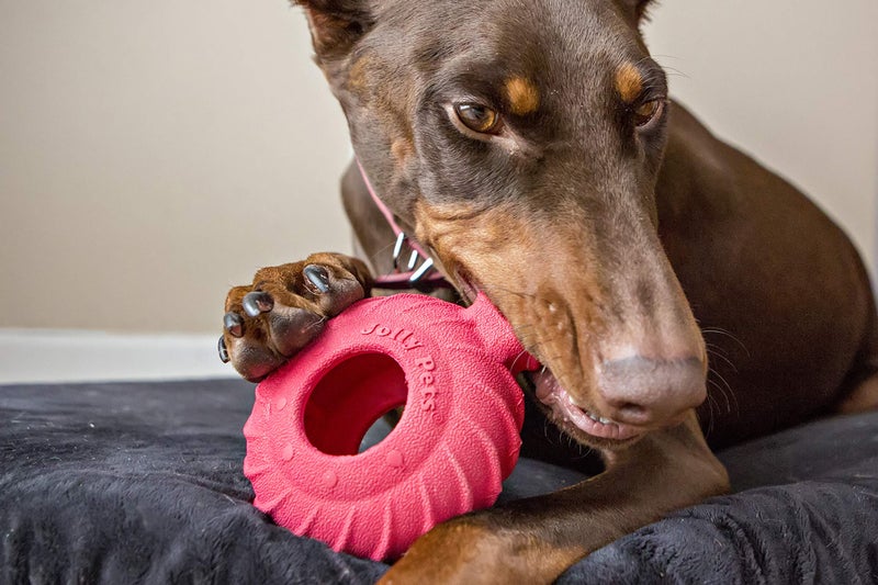 Jolly Pets Tuff Treader Dog Toy with Handle, 6 Inches, Red, Model:JTR23, All Breed Sizes - Image 2