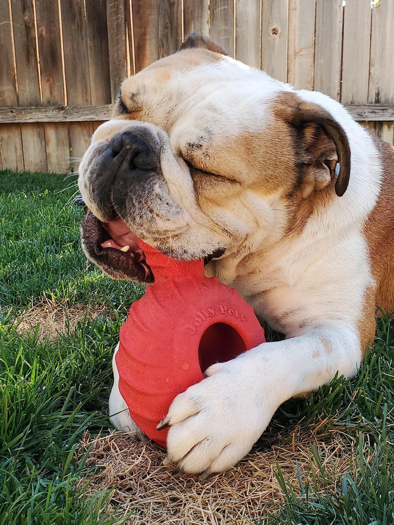Jolly Pets Tuff Treader Dog Toy with Handle, 6 Inches, Red, Model:JTR23, All Breed Sizes - Image 4