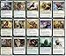 MTG Decks & More Cat Commander Deck EDH 100 Card Custom Magic The Gathering Deck Very Strong - Image 4