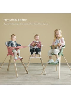 Clikk High Chairall - In - One Baby High Chair With Tray + Harnesslight, Durable And Travel Friendlyergonomic And Adjustable Featuresbest For 6 - 36 Months Or Up To 15Kg/33Lbscloud Grey - pzsku/Z0ED3B71DDB82A7FA9462Z/45/_/1734417112/5a4ecb11-38f1-44c2-b852-a1660d9499bc