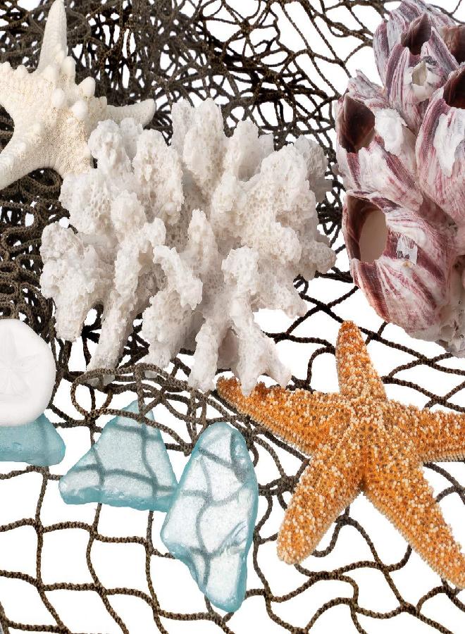 Nautical Crush Trading Decorative Sea Coral - 4in x 3.5in x 2.5in - Small White Coral for Beachy Decor - Perfect for Aquariums - Fish Tanks - Image 2