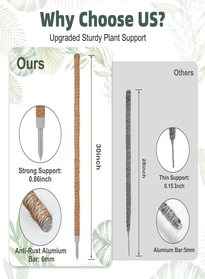 LifeNest 3 Pack Moss Pole, 30 Inch Monstera Plant Support， Moss Poles for Climbing Plants Indoor DIY, Coco Coir Plant Pole Moss Plant Stick Support Stake Kit for Potted Plants, Pothos, Philodendron - Image 2