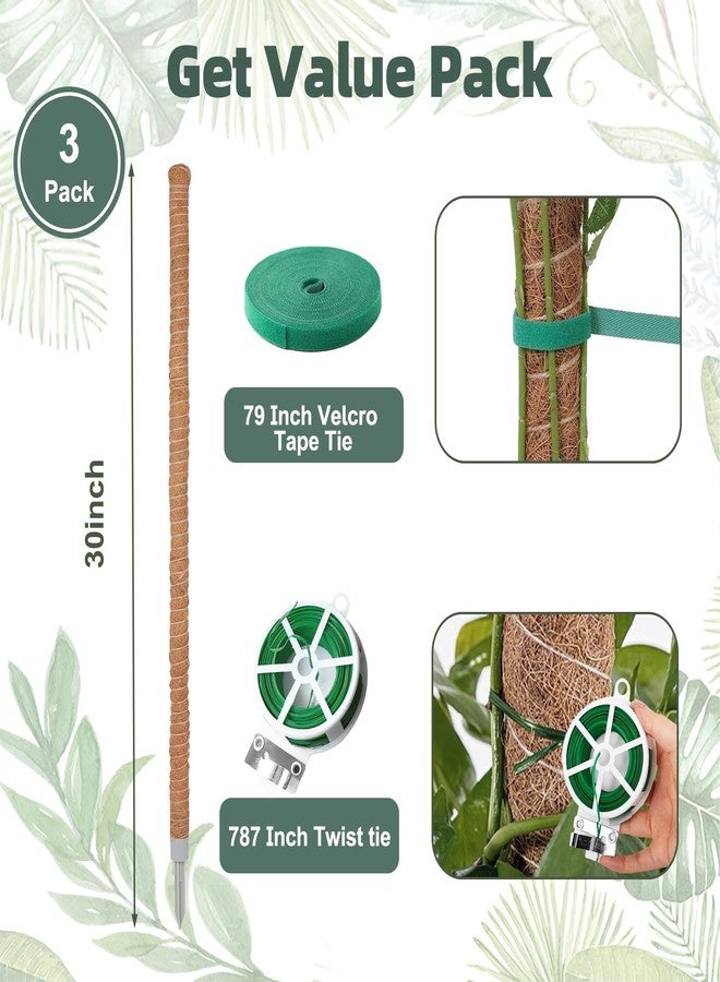 LifeNest 3 Pack Moss Pole, 30 Inch Monstera Plant Support， Moss Poles for Climbing Plants Indoor DIY, Coco Coir Plant Pole Moss Plant Stick Support Stake Kit for Potted Plants, Pothos, Philodendron - Image 5