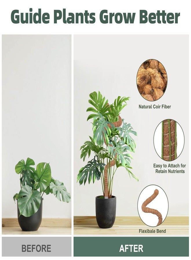 LifeNest 3 Pack Moss Pole, 30 Inch Monstera Plant Support， Moss Poles for Climbing Plants Indoor DIY, Coco Coir Plant Pole Moss Plant Stick Support Stake Kit for Potted Plants, Pothos, Philodendron - Image 4