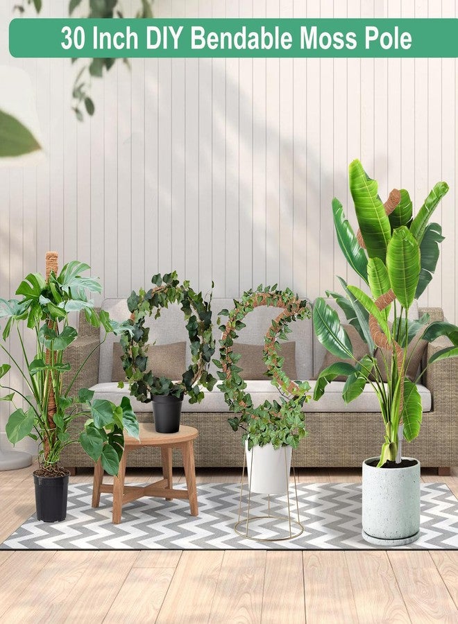 LifeNest 3 Pack Moss Pole, 30 Inch Monstera Plant Support， Moss Poles for Climbing Plants Indoor DIY, Coco Coir Plant Pole Moss Plant Stick Support Stake Kit for Potted Plants, Pothos, Philodendron - Image 3