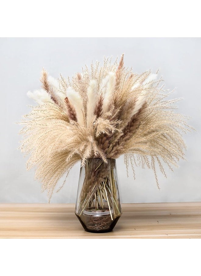 SKY-TOUCH Sky-Touch Natural Dried Pampas Grass Bouquet : Brown White Reed Pampas Floral Arrangements Decorations for Home Room Office Party Decor (60PCS)  - Image 1