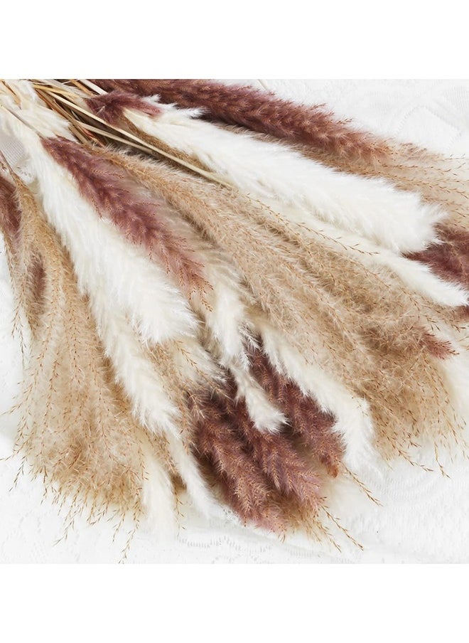 SKY-TOUCH Sky-Touch Natural Dried Pampas Grass Bouquet : Brown White Reed Pampas Floral Arrangements Decorations for Home Room Office Party Decor (60PCS)  - Image 2
