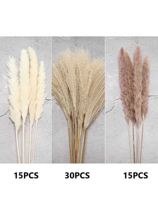 SKY-TOUCH Sky-Touch Natural Dried Pampas Grass Bouquet : Brown White Reed Pampas Floral Arrangements Decorations for Home Room Office Party Decor (60PCS)  - Image 4