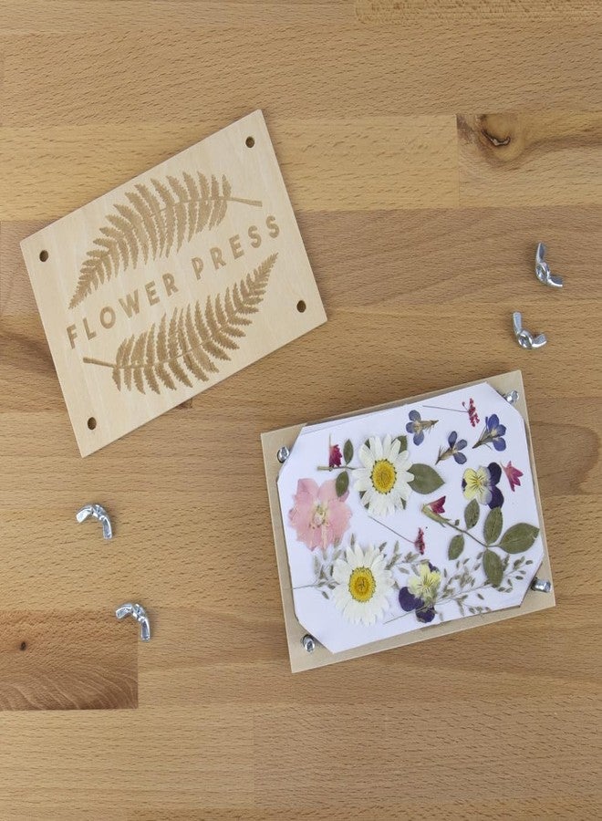 Gift Republic DIY Flower Press Kit, Multi - Image 2