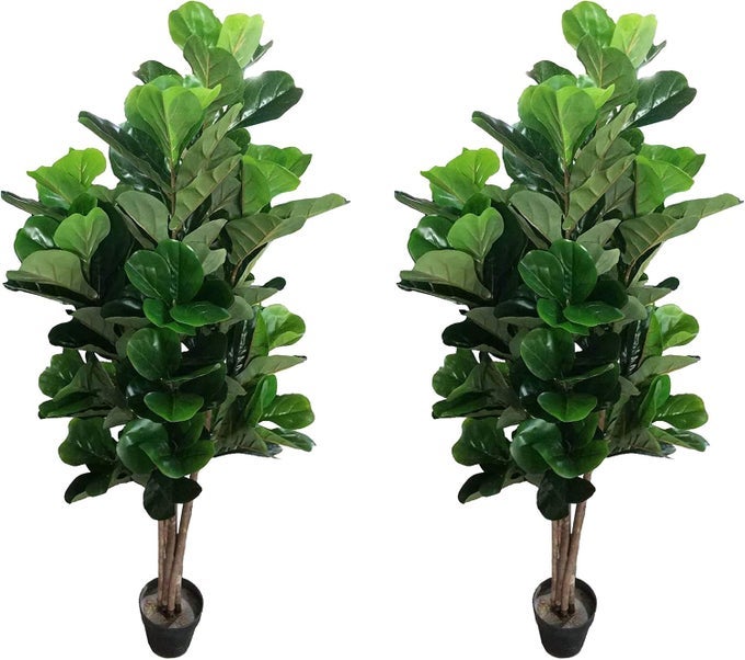PAIR GORGEOUS DENSE 5 FIDDLE LEAF FIG TREE ARTIFICIAL SILK PLANT WITH UV PROTECTION WITH NURSERY PLASTIC POT FEEL REAL TECHNOLOGY 5 FEET EACH GREEN 2