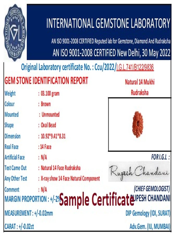 IRIS GEMS 14 Mukhi Rudraksha Original Certified Nepali Silver Capping 14 Face Rudraksha 14 मुखी नेपाली ओरिजिनल रुद्राक्ष Brown Chaudah Mukhi Rudraksh For Men Women Pendent Bracelet Rudraksha Jaap Mala नेचुरल चौदह मुखी रुद्राक्ष By IRIS GEMS - Image 4