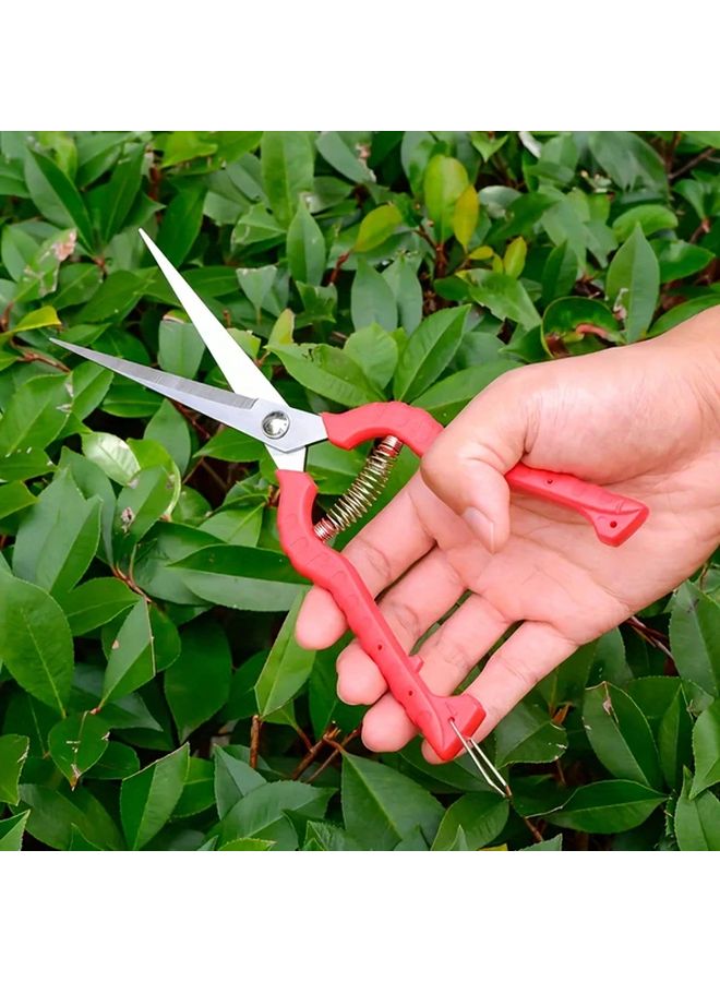 Professional Pruning Shears 8.26 Inch Stainless Steel Blades Ergonomic Handles Vegetable And Fruit Scissors - Image 3
