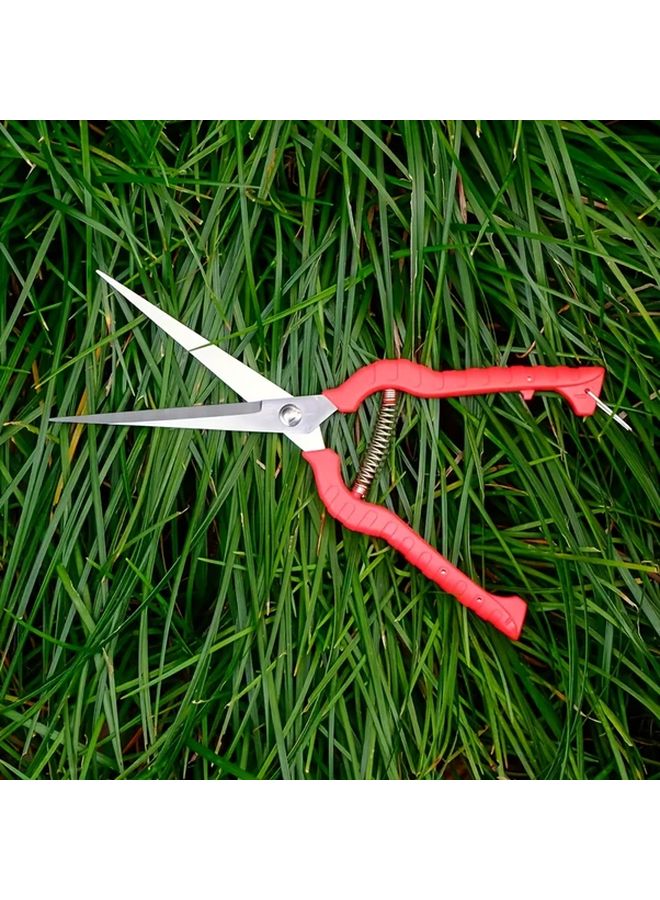 Professional Pruning Shears 8.26 Inch Stainless Steel Blades Ergonomic Handles Vegetable And Fruit Scissors - Image 1