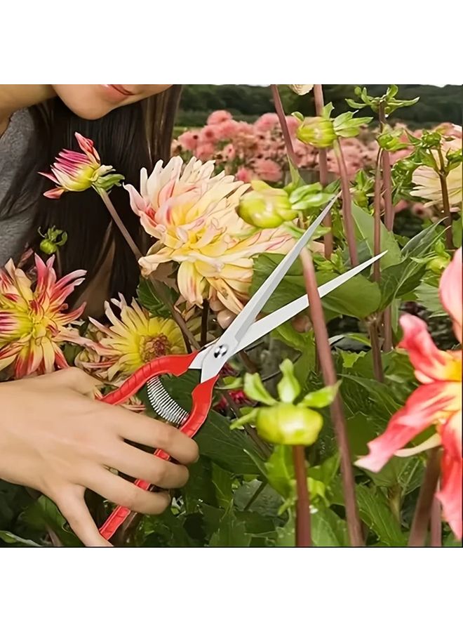 Professional Pruning Shears 8.26 Inch Stainless Steel Blades Ergonomic Handles Vegetable And Fruit Scissors - Image 5