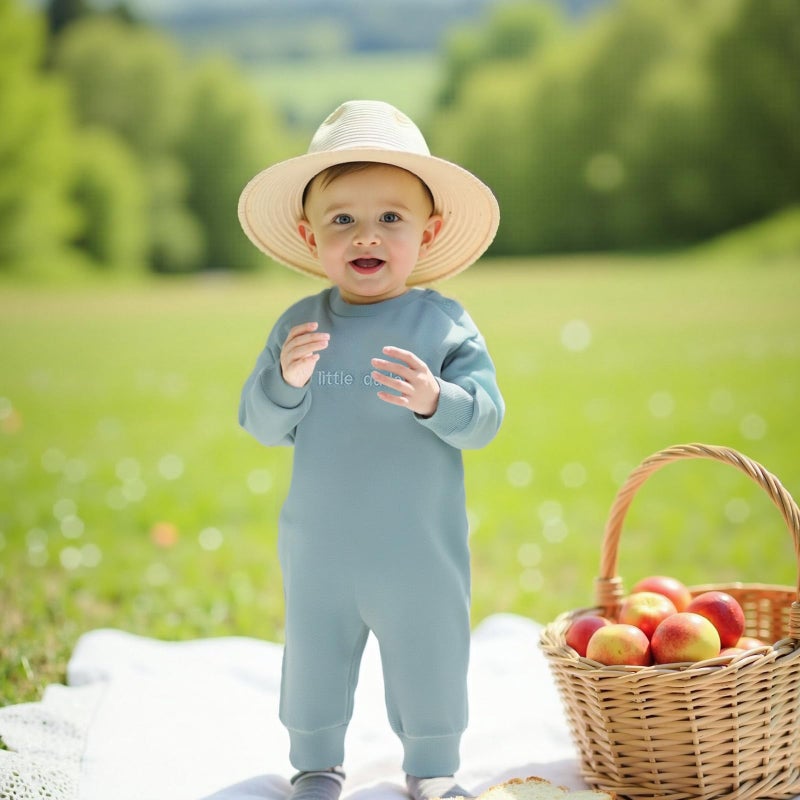 allshope Newborn Baby Boy Fall Outfit Romper Little Dude Embroidery Long Sleeve Jumpsuit Bodysuit Infant Winter Clothes (Blue, 0-3 Months) - Image 2