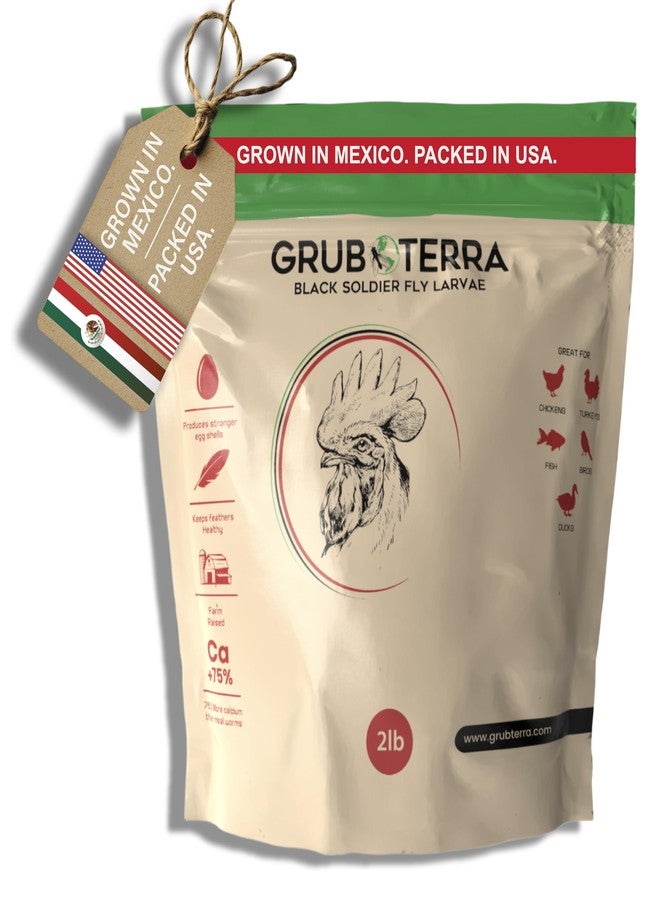 يرقات ذبابة الجندي الأسود المجففة الذهبية من GrubTerra - مكمل غذائي ممتاز لزيادة إنتاج البيض، يُستخدم كعلف للدجاج، وغذاء للطيور، وطعام لطيور الزينة، وطعام للطيور البرية، منتج أصلي من الصين! (2 رطل) - Image 1