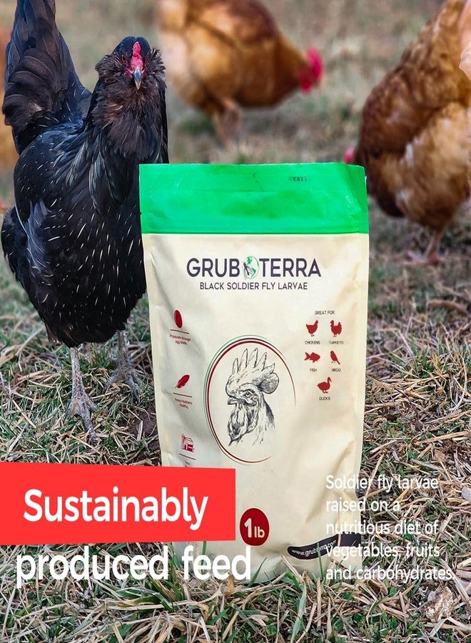 يرقات ذبابة الجندي الأسود المجففة الذهبية من GrubTerra - مكمل غذائي ممتاز لزيادة إنتاج البيض، يُستخدم كعلف للدجاج، وغذاء للطيور، وطعام لطيور الزينة، وطعام للطيور البرية، منتج أصلي من الصين! (2 رطل) - Image 2