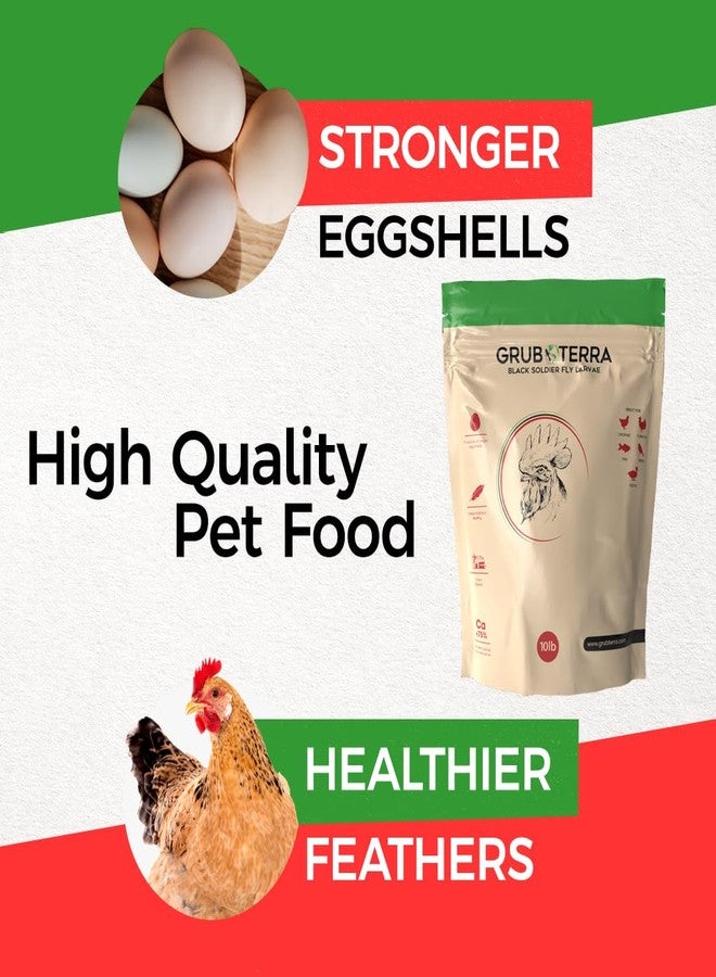 يرقات ذبابة الجندي الأسود المجففة الذهبية من GrubTerra - مكمل غذائي ممتاز لزيادة إنتاج البيض، يُستخدم كعلف للدجاج، وغذاء للطيور، وطعام لطيور الزينة، وطعام للطيور البرية، منتج أصلي من الصين! (2 رطل) - Image 3