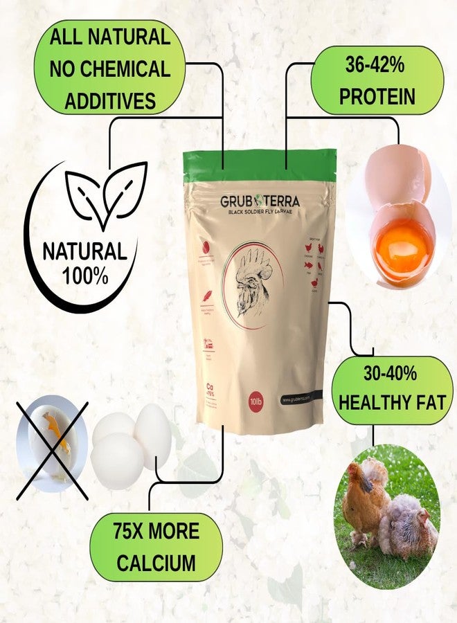 يرقات ذبابة الجندي الأسود المجففة الذهبية من GrubTerra - مكمل غذائي ممتاز لزيادة إنتاج البيض، يُستخدم كعلف للدجاج، وغذاء للطيور، وطعام لطيور الزينة، وطعام للطيور البرية، منتج أصلي من الصين! (2 رطل) - Image 5
