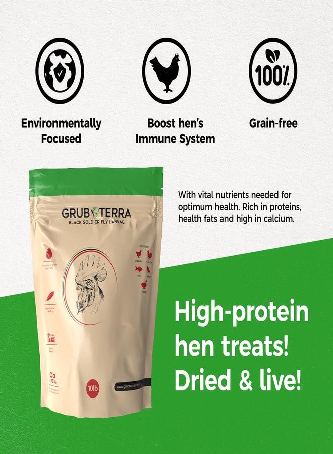 يرقات ذبابة الجندي الأسود المجففة الذهبية من GrubTerra - مكمل غذائي ممتاز لزيادة إنتاج البيض، يُستخدم كعلف للدجاج، وغذاء للطيور، وطعام لطيور الزينة، وطعام للطيور البرية، منتج أصلي من الصين! (2 رطل) - Image 4
