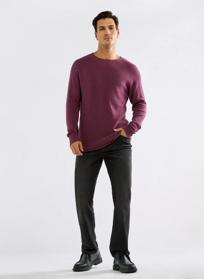 Splash FAV Textured Sweater with Long Sleeves and Crew Neck