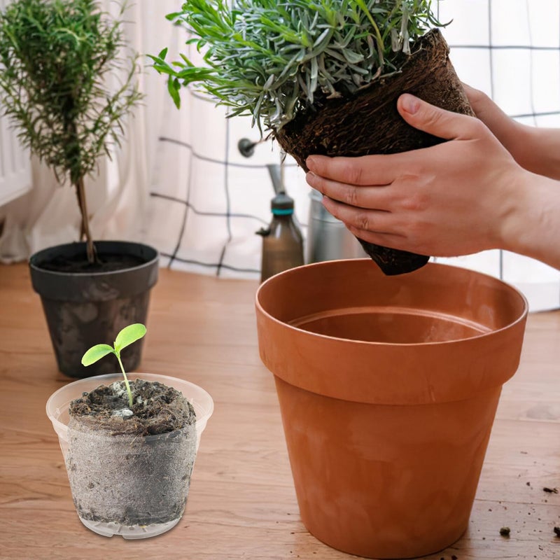 5 Inch Plastic Orchid Planter with Drainage Holes for Indoor and Outdoor Gardening - Image 5
