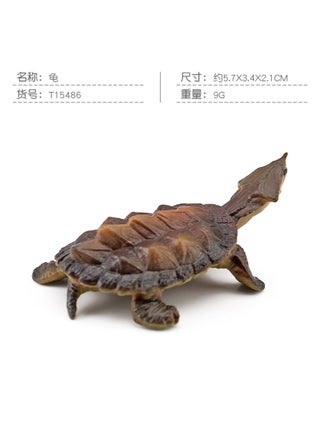 T15486 turtle 9g