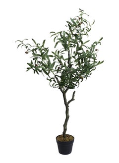 Artificial Potted Olive Tree Green/Black 125 cm - pzsku/Z0EE2D929FCB2DBDA574BZ/45/_/1683807436/a47ca430-ec4c-45d2-8a11-c29cdb4101a2