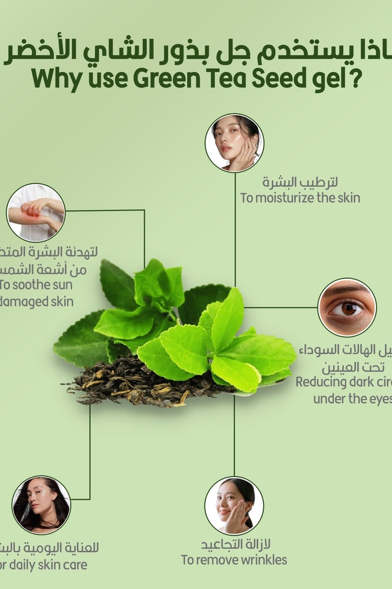 Farm Stay Green Tea Seed All In One Ampoule 250ml - Image 4