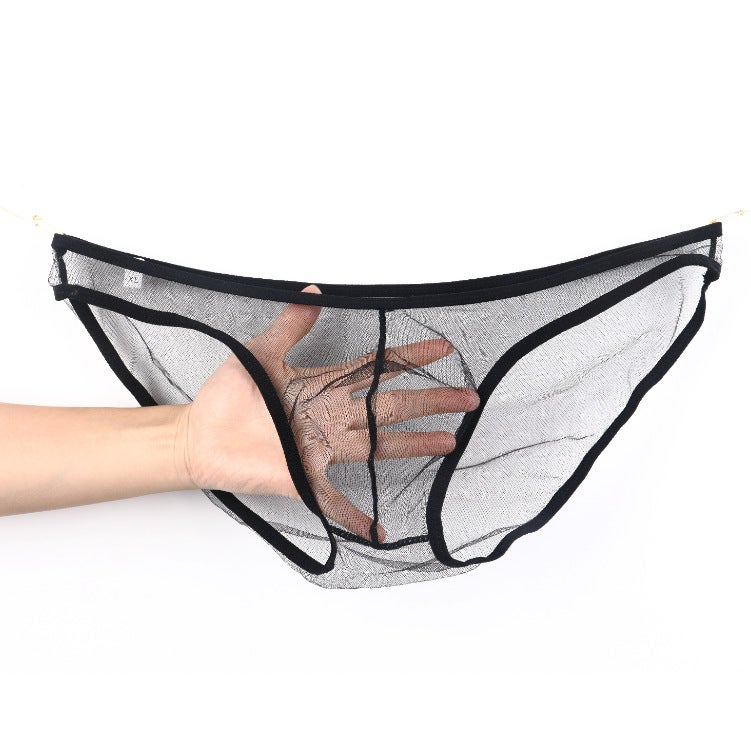 سراويل داخلية للرجال المثليين من شبكة رفيعة بخصر منخفض مقاس زائد C-034 - Image 2